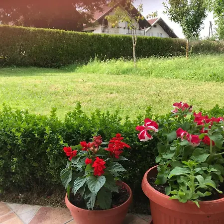 Holiday Bosnian Rose Holiday home *