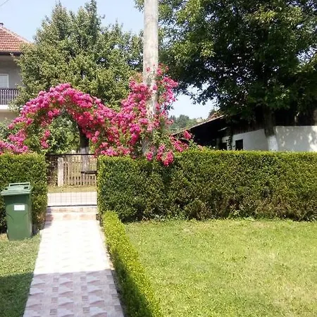 Holiday Bosnian Rose